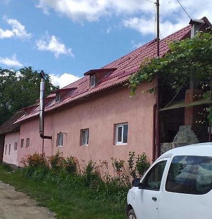 Casa Boierului Imbri Villa Cîrţişoara Екстериор снимка