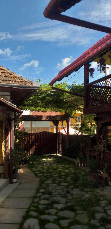 Casa Boierului Imbri Villa Cîrţişoara Екстериор снимка
