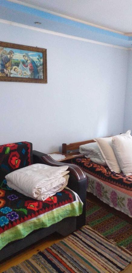 Casa Boierului Imbri Villa Cîrţişoara Екстериор снимка