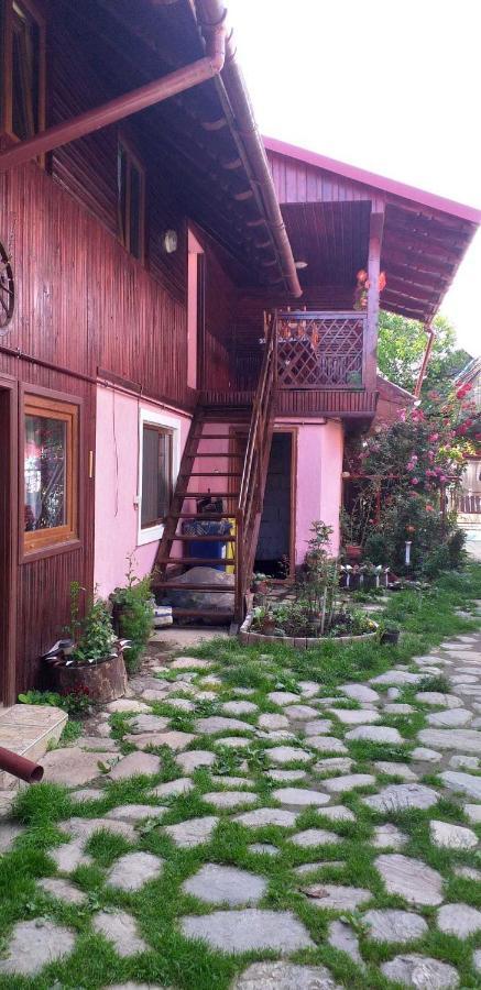 Casa Boierului Imbri Villa Cîrţişoara Екстериор снимка