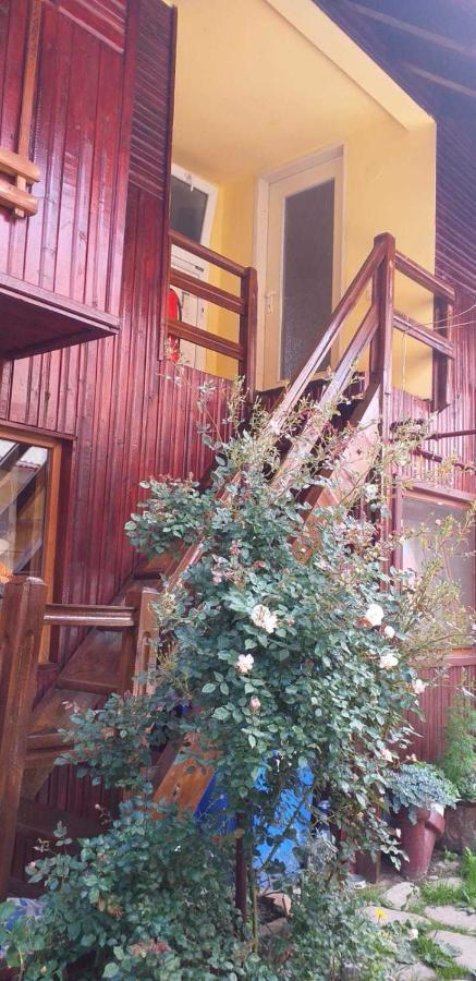 Casa Boierului Imbri Villa Cîrţişoara Екстериор снимка