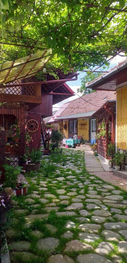 Casa Boierului Imbri Villa Cîrţişoara Екстериор снимка