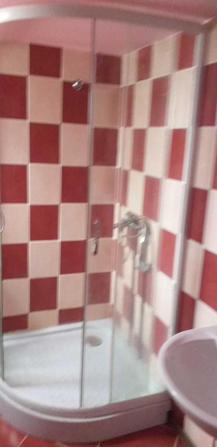 Casa Boierului Imbri Villa Cîrţişoara Екстериор снимка