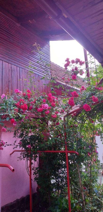 Casa Boierului Imbri Villa Cîrţişoara Екстериор снимка