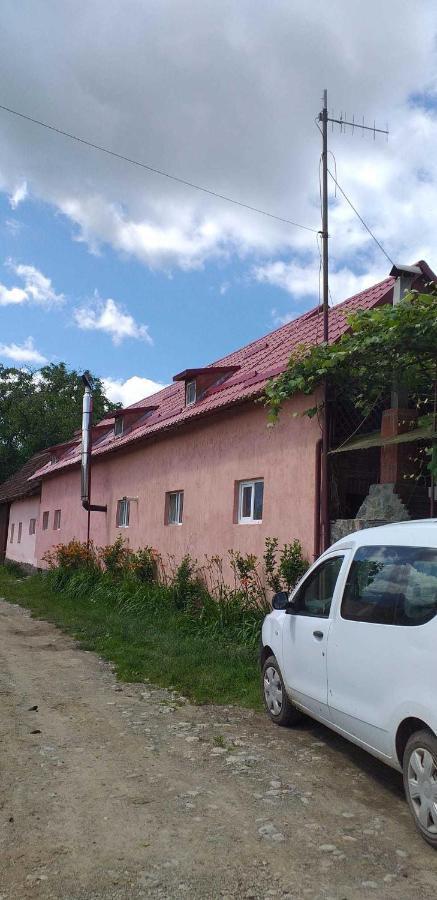 Casa Boierului Imbri Villa Cîrţişoara Екстериор снимка