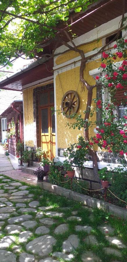 Casa Boierului Imbri Villa Cîrţişoara Екстериор снимка