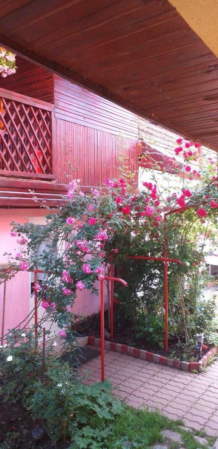 Casa Boierului Imbri Villa Cîrţişoara Екстериор снимка