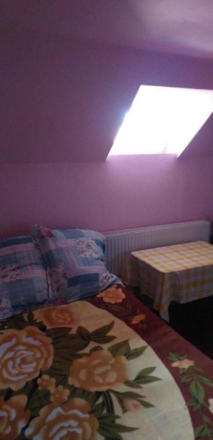 Casa Boierului Imbri Villa Cîrţişoara Екстериор снимка
